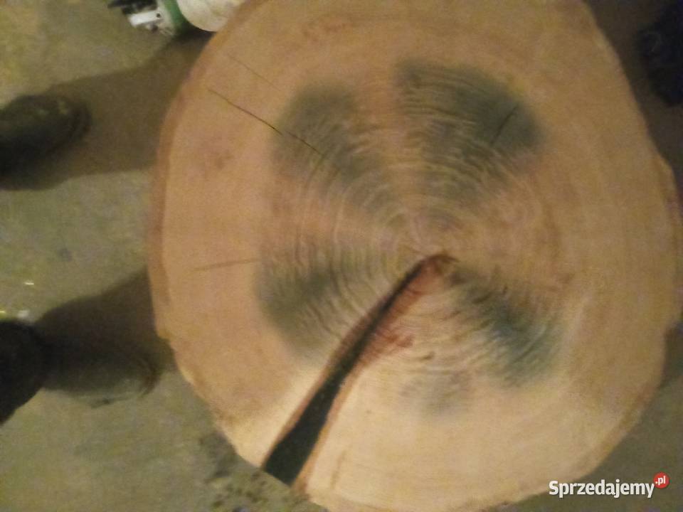 Plastry drewna na stoliki kawowe