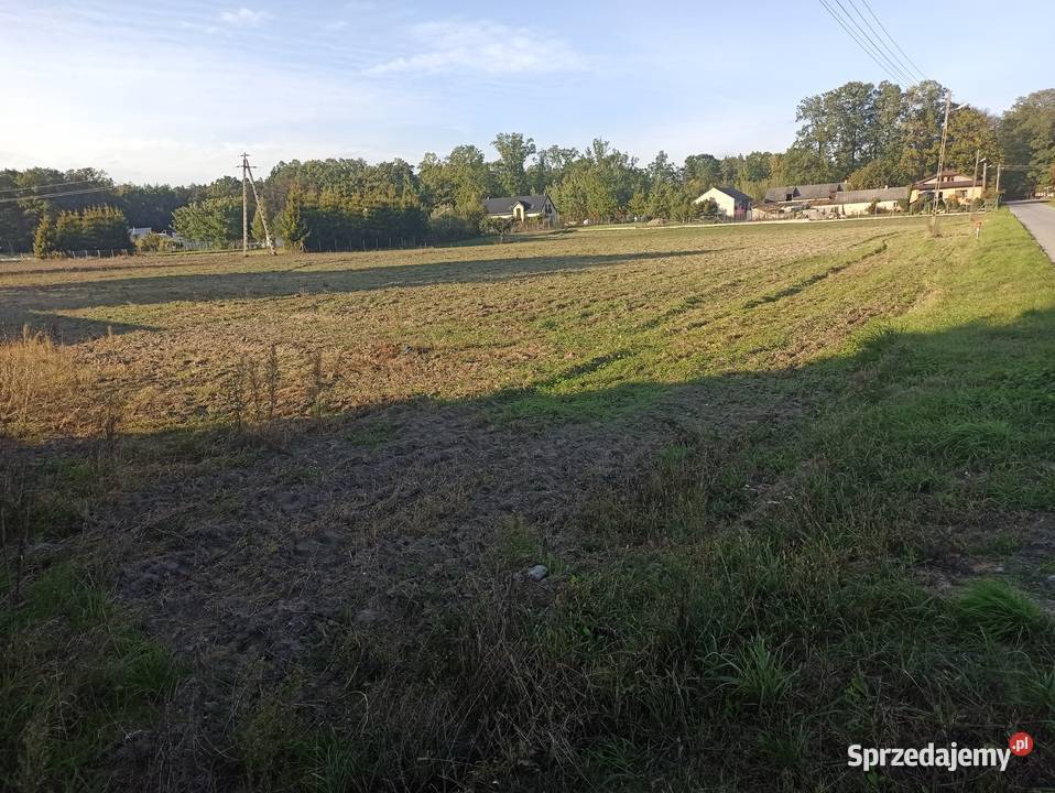 Sprzedam działki budowlane każda 1500m2 we wsi mazowieckie Grochowa