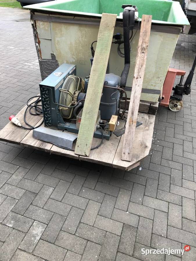 Schladzalnik szparagi Mochy