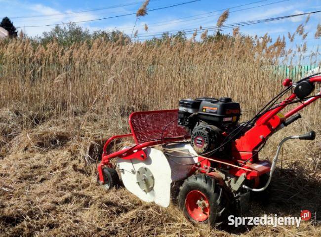 MASTERCUT SG0812A KARCZOWNICA KARCZOWNIK