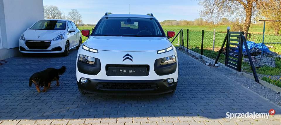 Citroen C4 Cactus 110KM Mielec