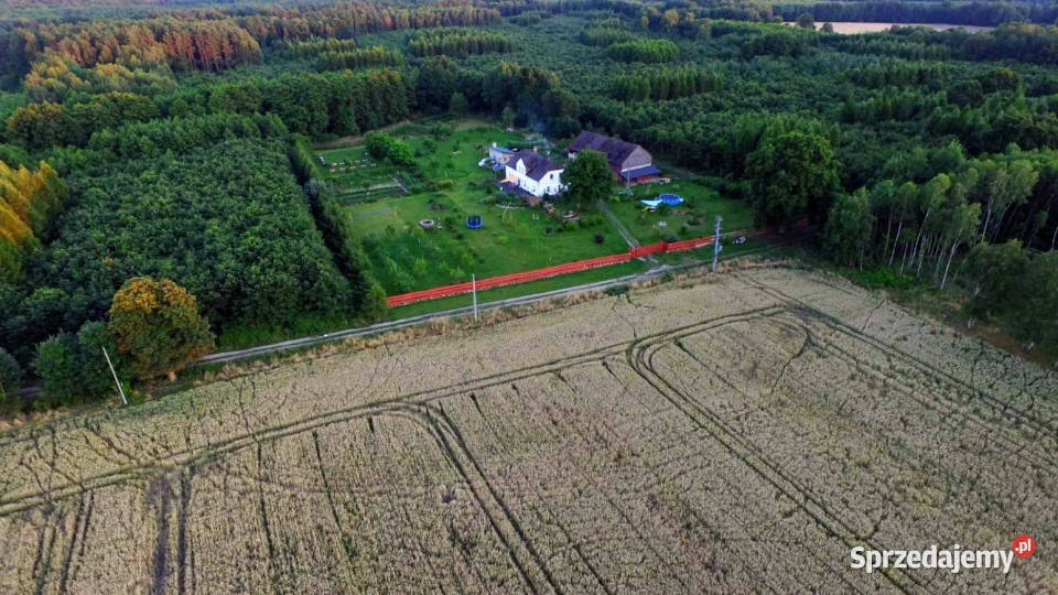 Do sprzedaży dom Powalice 300m2