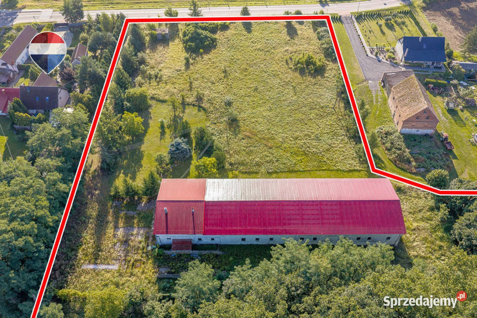 Nieruchomość inwestycyjna 99100 m Ostrzyce