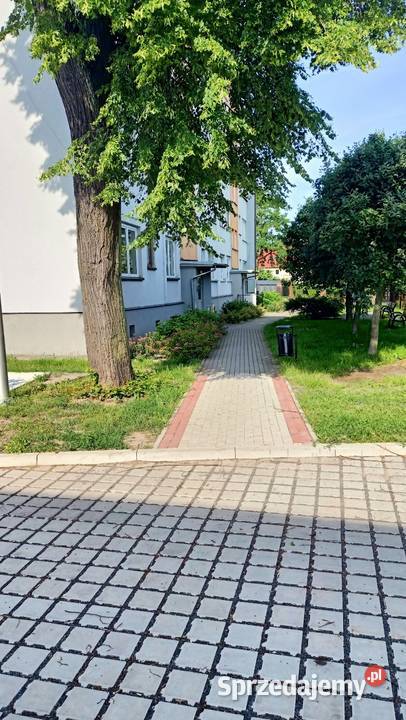 Mieszkanie 36m2 Chocianów 2 pokoje