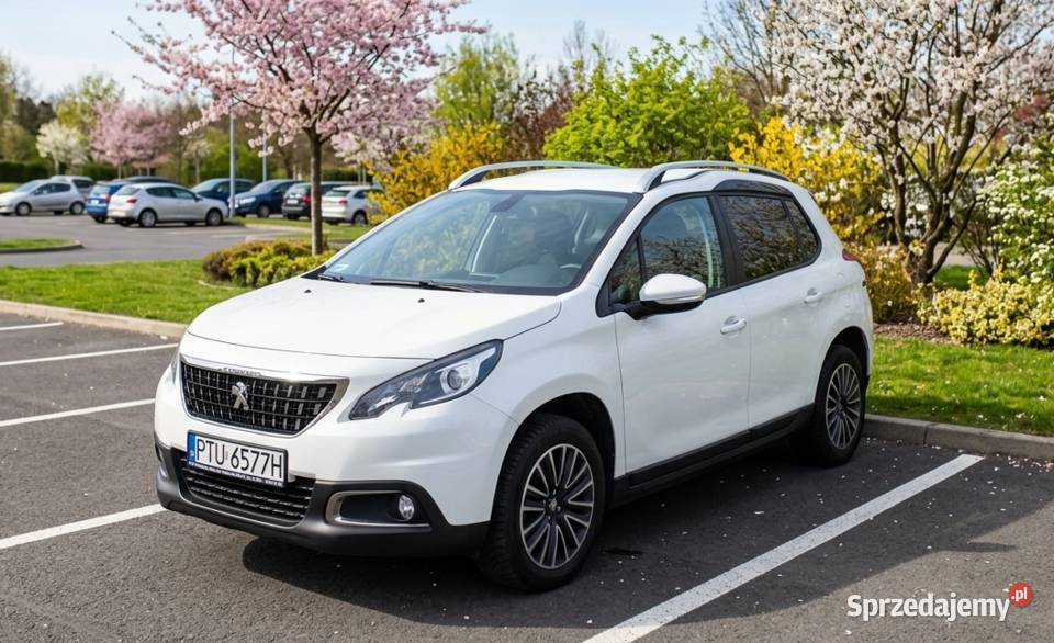 Peugeot 2008 15 HDI 102 2019 światła do jazdy dziennej wielkopolskie Konin