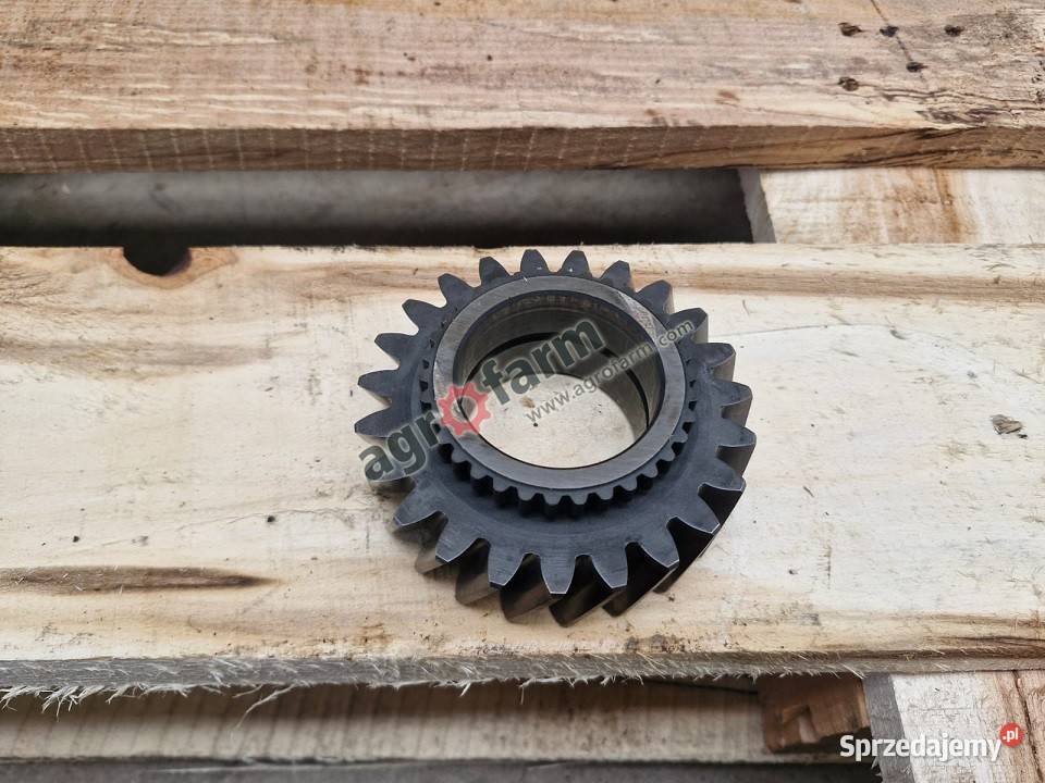 Koło zębate Massey Ferguson 6120 6190 6260 6445 Byków