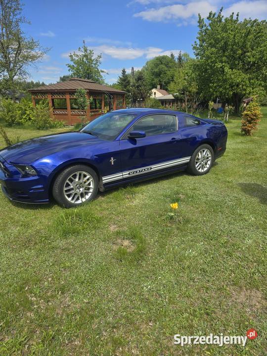 Ford Mustang Premium Pony łódzkie Łódź sprzedam
