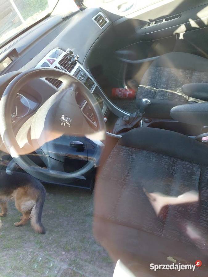 Peugeot 307 Ważne Opłaty Stan 307 Brańsk