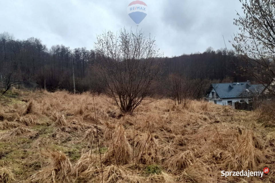 DZIAŁKA BUDOWLANA REGULICE GMINA ALWERNIA utwardzona