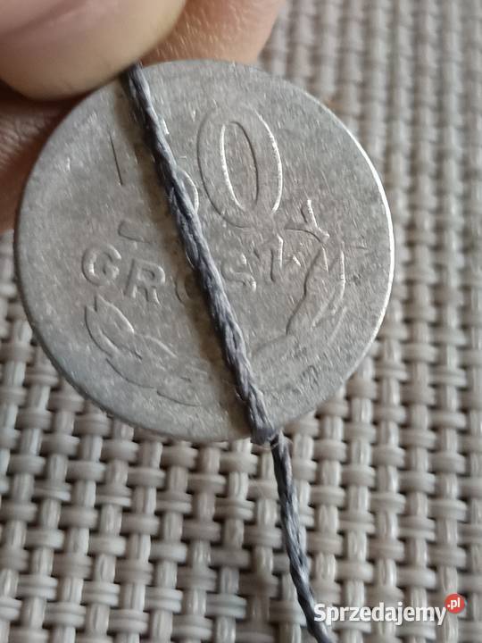 Sprzedam 50 groszy 1949 lekka skrętka v Chełm