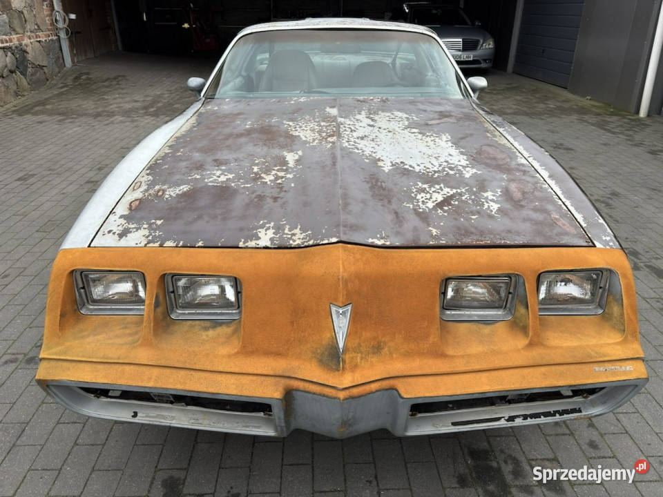 Pontiac Firebird Trans Am Pontiac Firebird 1981 Pontiac Sulechów