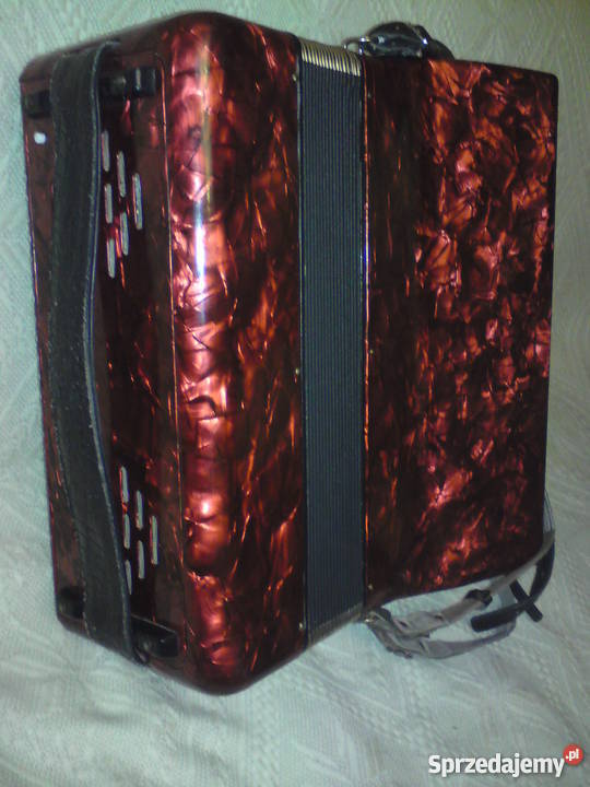 Akordeon Delicia Nieledew sprzedam