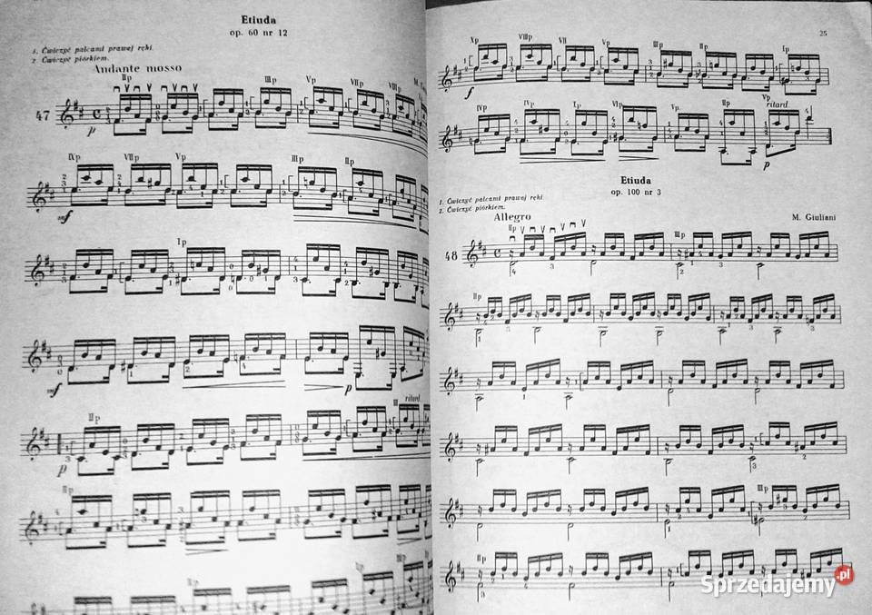 Studium gry akordowej na gitarze Kazimierz lubelskie Chełm