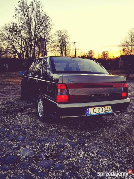 Polonez warty Stary Zamość