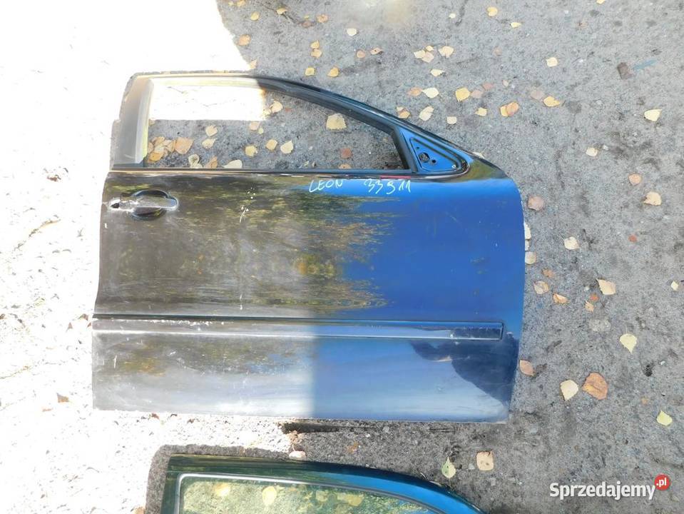 leon I drzwi 33911 WYSYŁKA osobowe śląskie Żory sprzedam