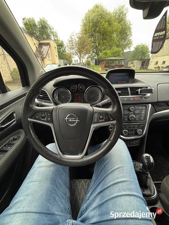 Sprzedam Opla pomorskie Chwaszczyno