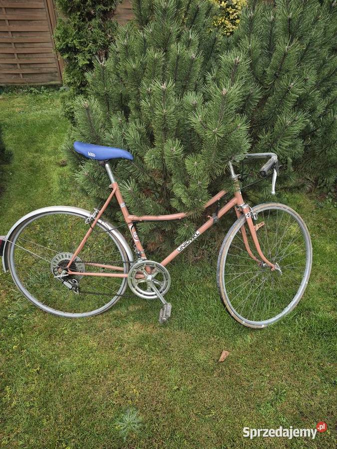 Rower Eska unicykl kolarzówka Szosowe Jaworzno