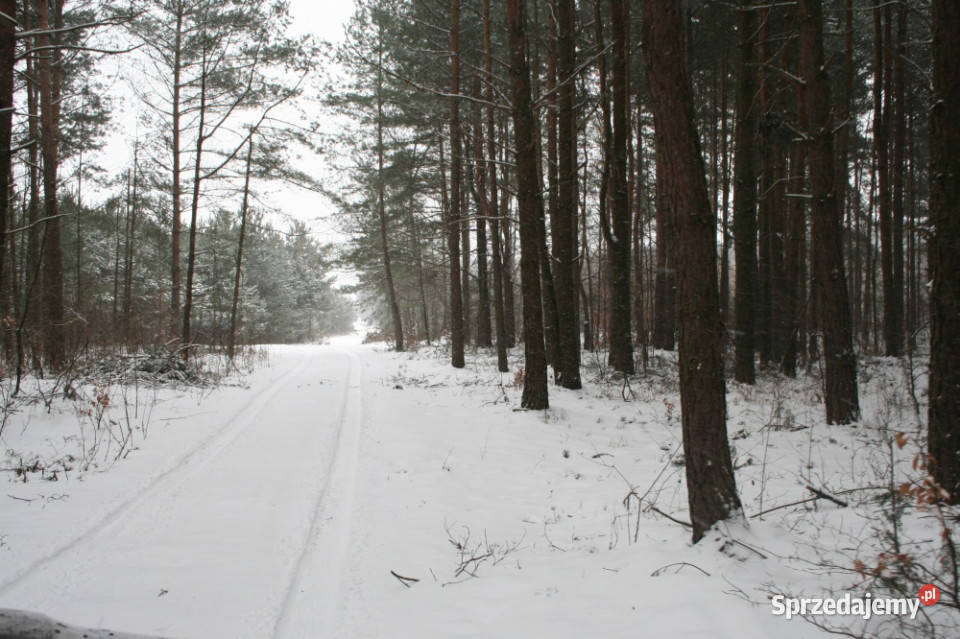 Działka 64 190 m Piaseczno