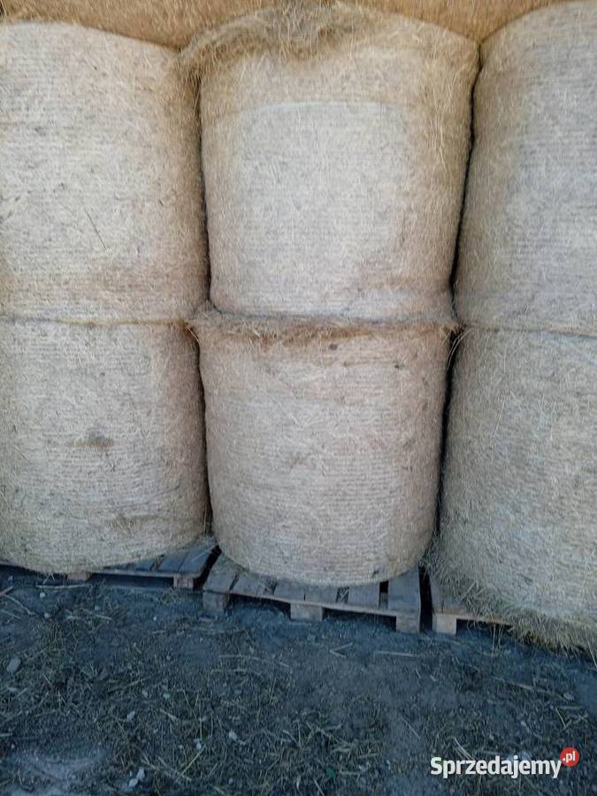 Sprzedam siano łódzkie Brudzewice