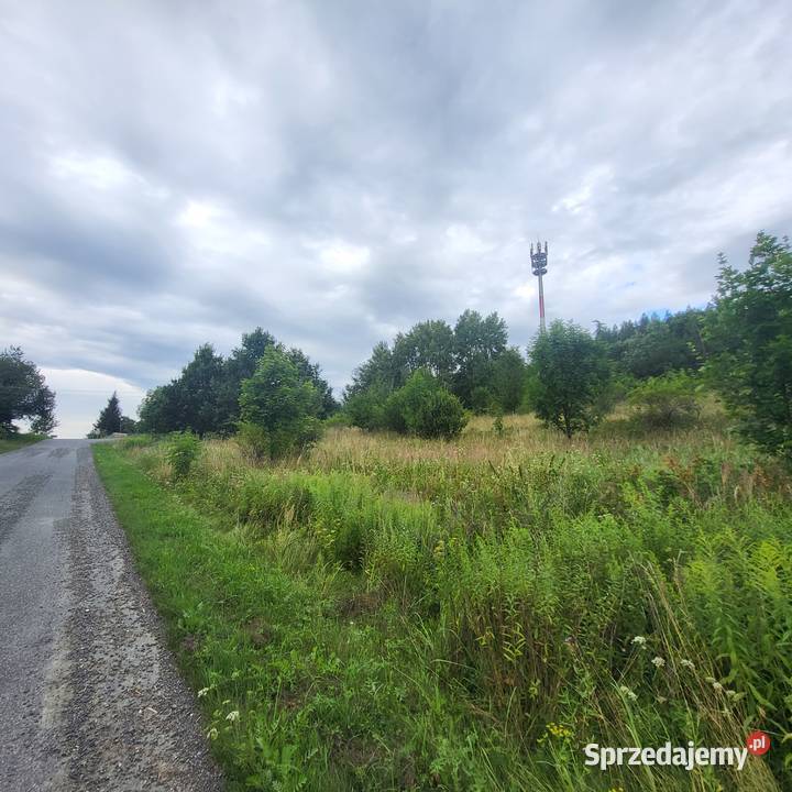 Działka niezabudowa Jaszkówka gm Kłodzko sprzedam