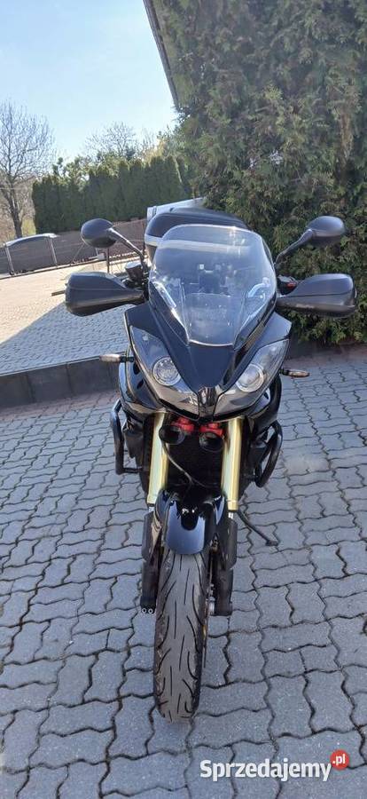 Triumph Tiger 1050 metalic Gniezno