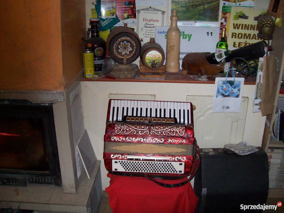 Sprzedam akordeon 120 basowy HORCH