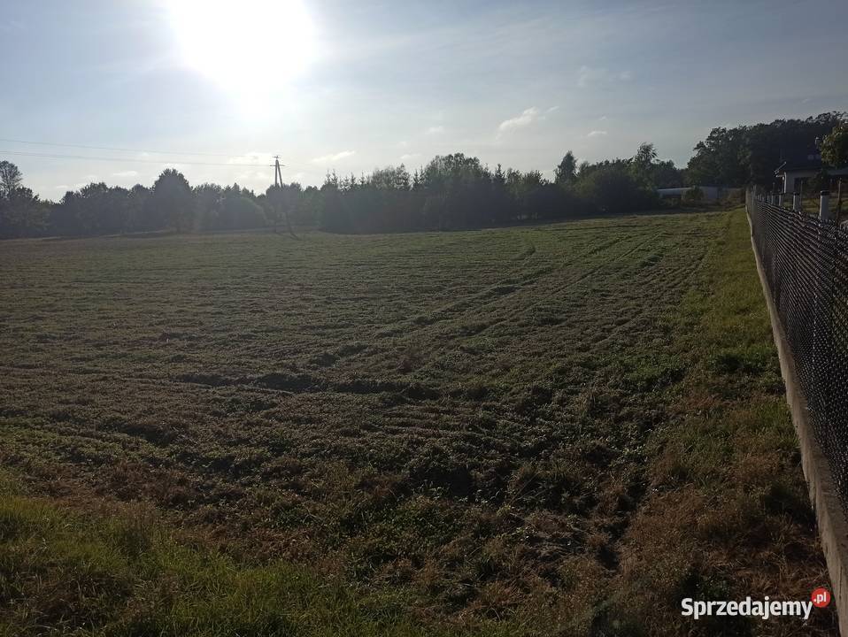 Sprzedam działki budowlane każda 1500m2 we wsi asfalt Grochowa
