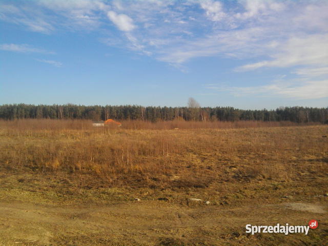 dzialke siedliskowom w czapielsku utwardzona Czapielsk