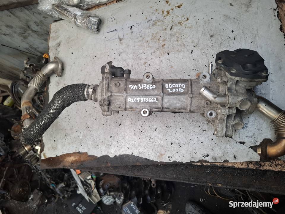 FIT DUCATO 30 JTD HPI IVECO chłodnica spalin EGR Kielce