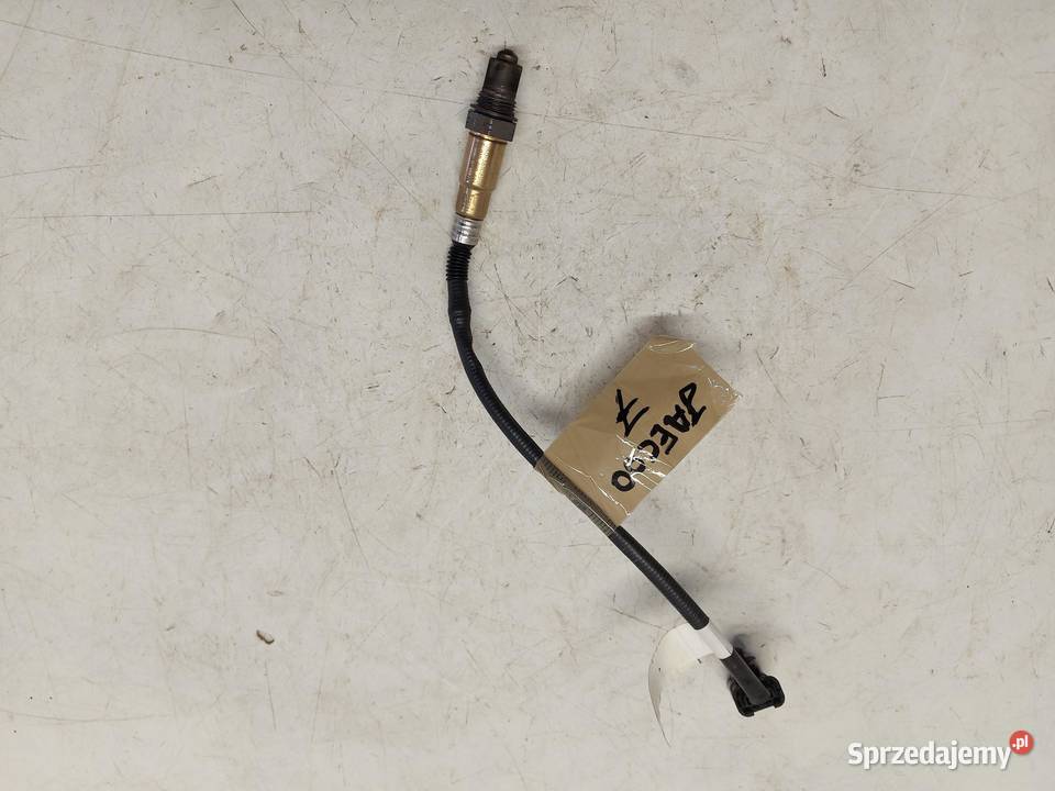 Cherry Jaecoo 7 PHEV 2025r 15 TGDI Sonda lambda