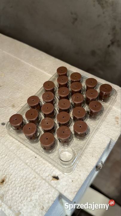 Dysze rozpylacze Lechler brązowe IDK 120 05 nowe