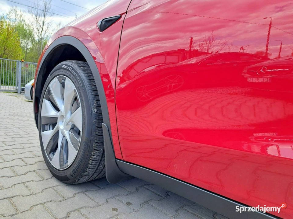 Tesla Y bluetooth Zgierz
