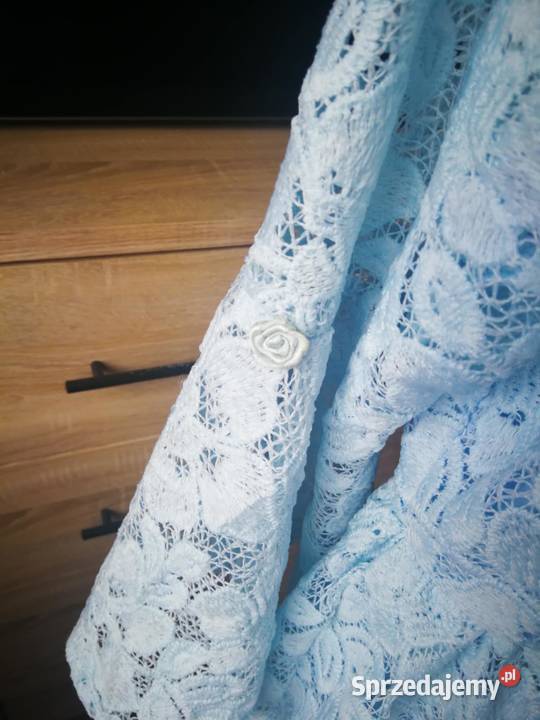 Niebieska koronkowa sukienka Zielonki