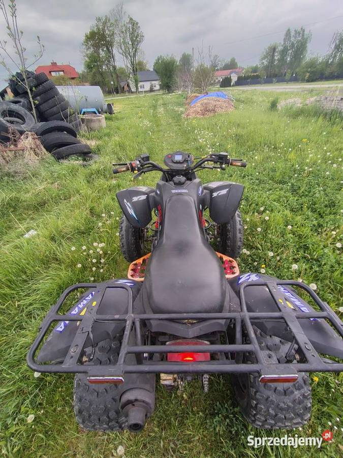 Quuad Dinli Lacki Star 300 Medynia Głogowska