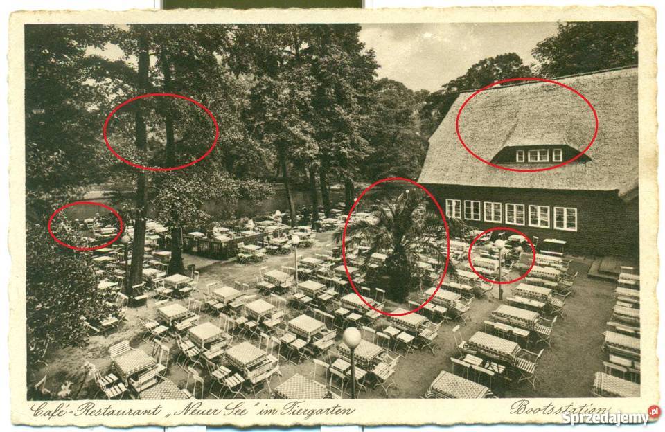 Cafe Restaurant Neuer See im Tiergarten Ostrów Wielkopolski