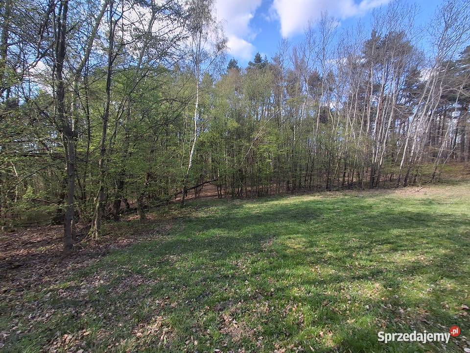 Lipnica dolna Działka rolnoleśna sprzedam