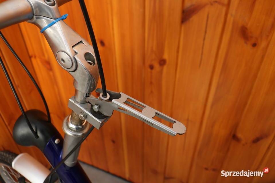 Trójkołowy rower rehabilitacyjny Vanraam Milanówek