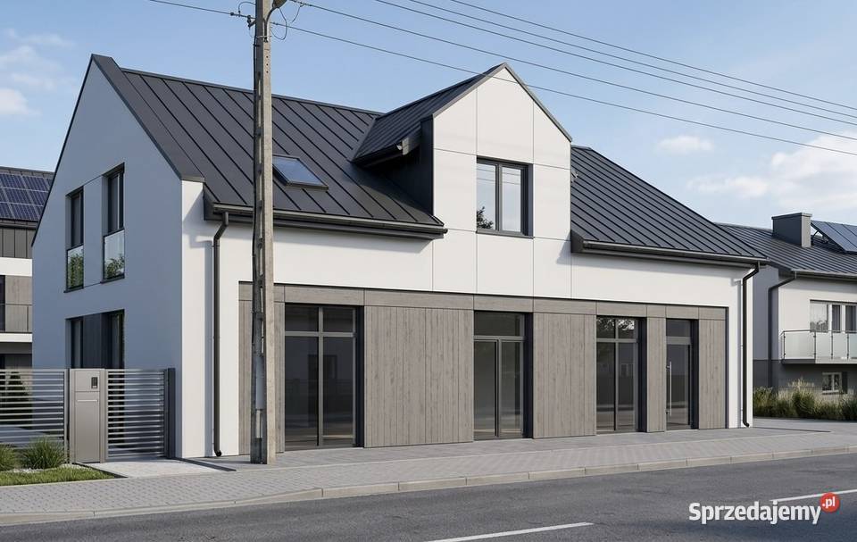 Ładny wygodny do wprowadzenia Dom Myszków cegła
