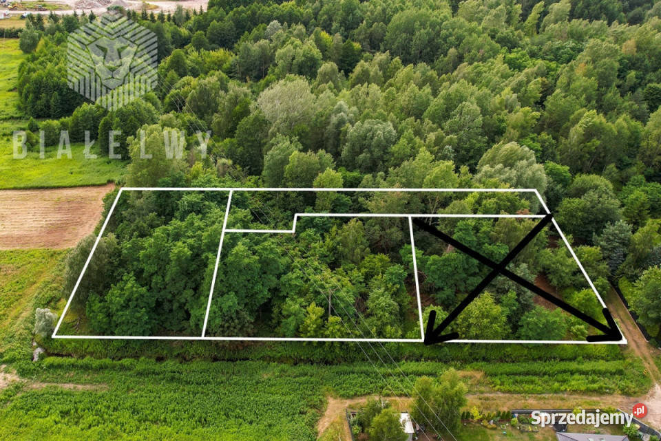 Grunt do sprzedania Wilcza Góra 3585m2 mazowieckie
