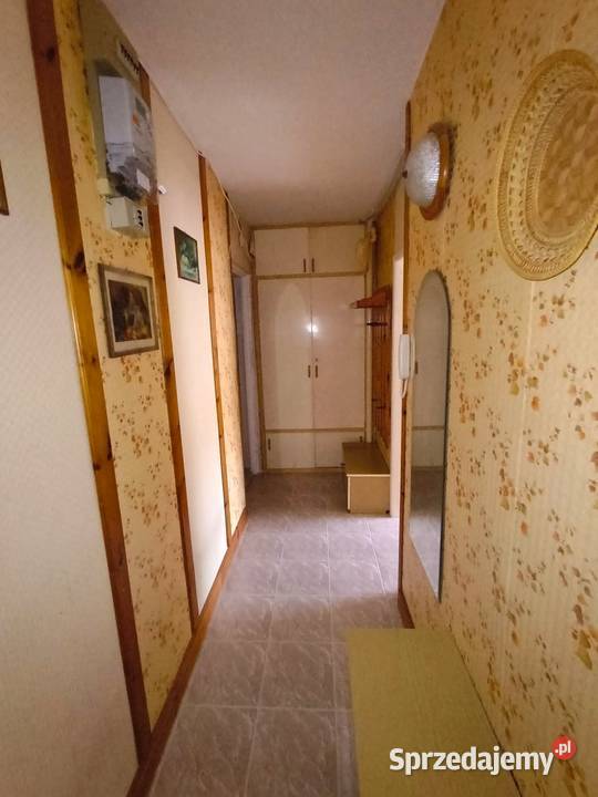 3 niezależne pokoje Gdańsk Orunia Górna