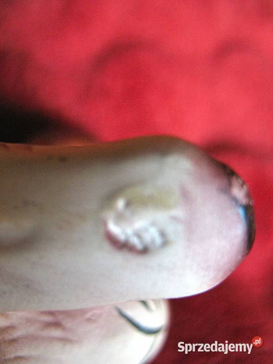 KOT pręgowany 55 x 10 x 5 Figurka Harvey Knox Siedlce sprzedam