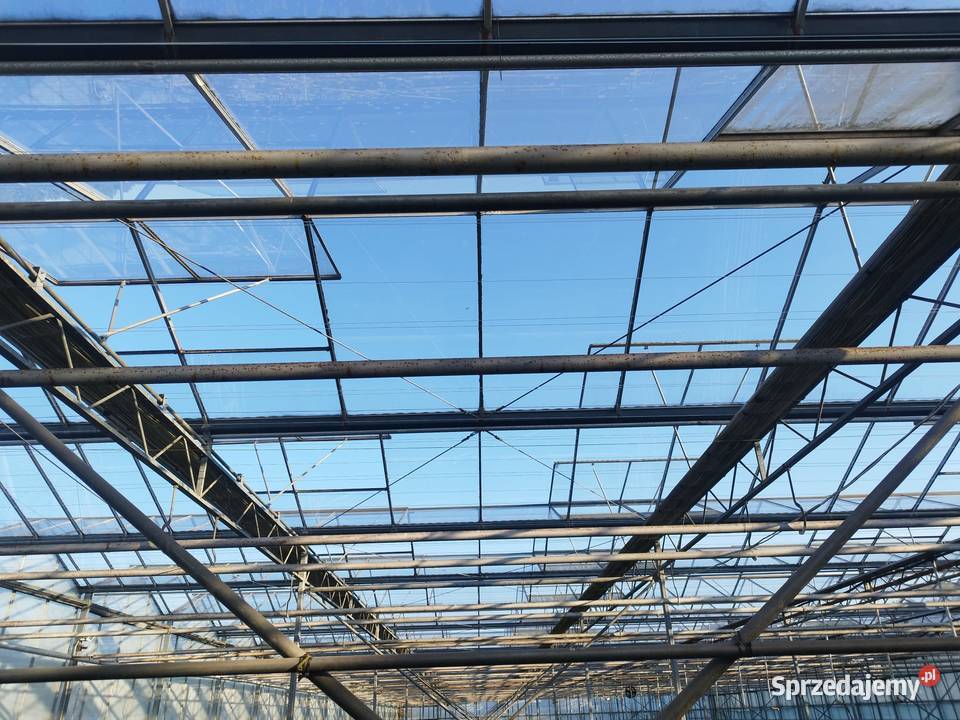 Szklarnia venlo holenderska holenderka szklarnie Częstochowa