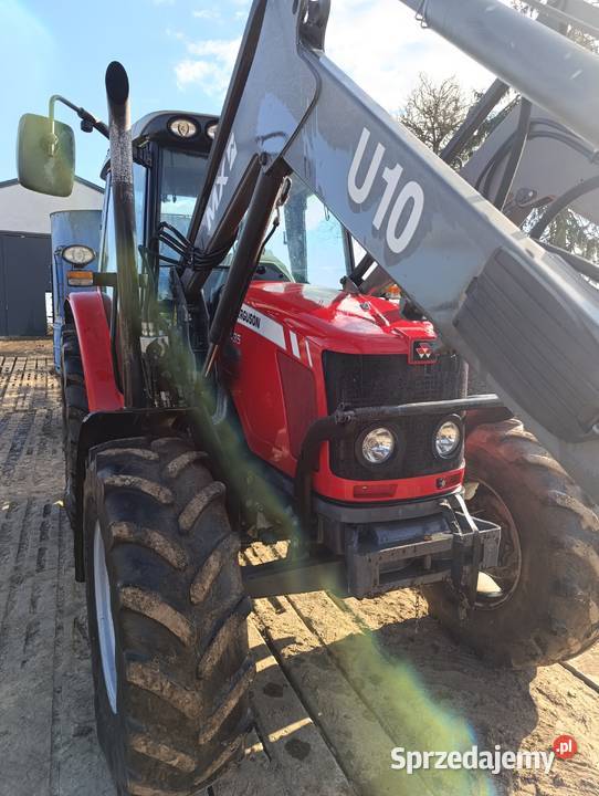 Massey Ferguson 5435 z ładowaczem mx z polskiego