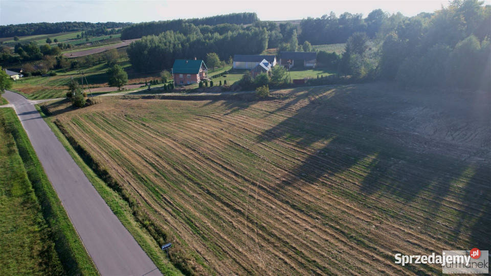 Działka TeodorówkaKolonia 2643m2 szambo sprzedam