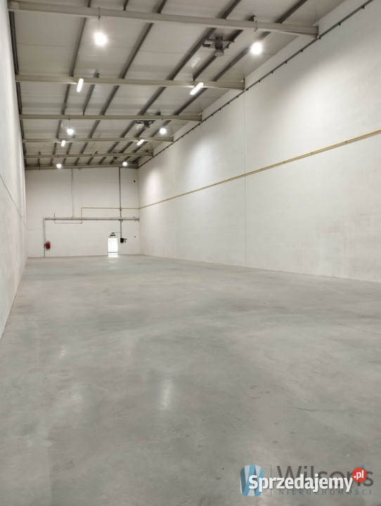 wynajmu lokalu Wola Mrokowska Szkolna 600m2 mazowieckie