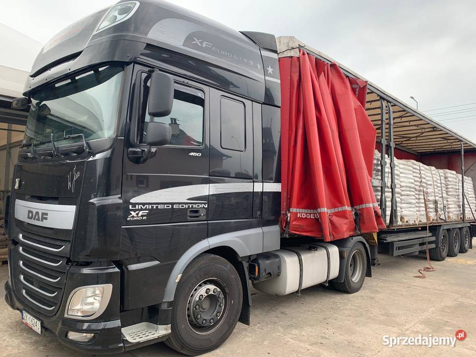 DAF XF 460 ST pomorskie Miastko