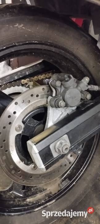 Suzuki DL podkarpackie