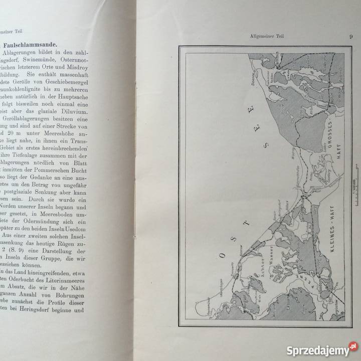 877 Geologischen Karte Szczecin
