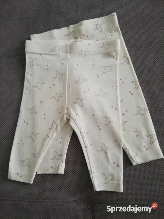 Leginsy Getry Lupilu 5056 Spodnie Katowice