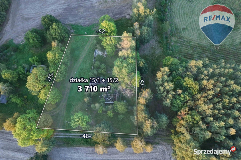 Siedlisko na skraju lasu 3700 m Tomaszew gm Sprzedaż